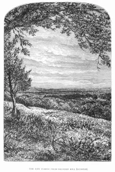 El Nuevo Bosque: su historia y su paisaje